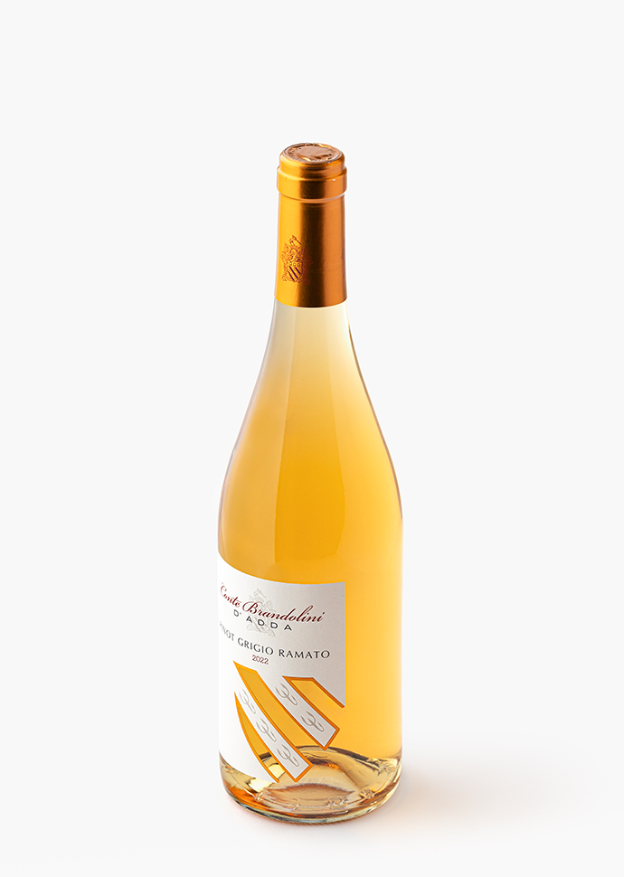 Wine bottle Bottiglia di vino Vistorta Pinot Grigio Ramato